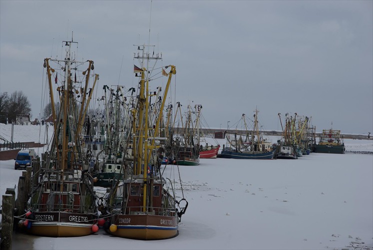 Hafen Greesiel im Winter